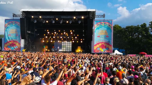 Public en liesse à un concert au Festival des Vieilles Charrues.