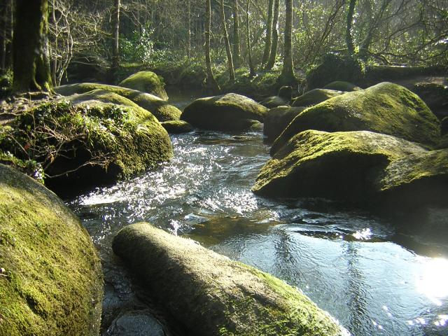 Cdb Aa0153 Jolibois Anne