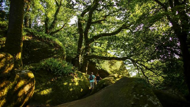 La Forêt de Huelgoat