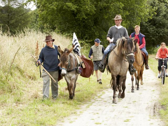 Randonnée avec des équidés