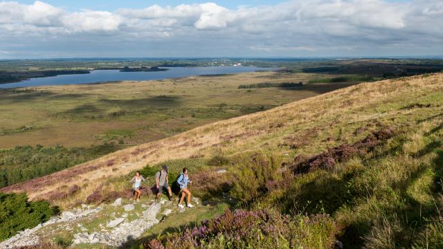 Randonnée pédestre dans les landes des Monts d'Arrée